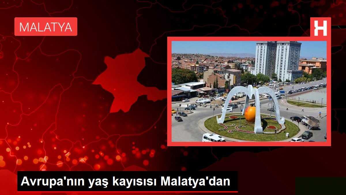Avrupa'nın yaş kayısısı Malatya'dan