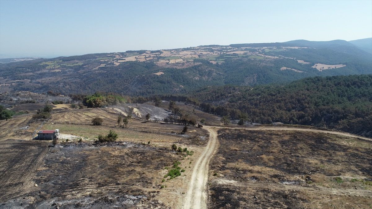 Çanakkale'deki Yangında 2.500 Hektar Alan Zarar Gördü