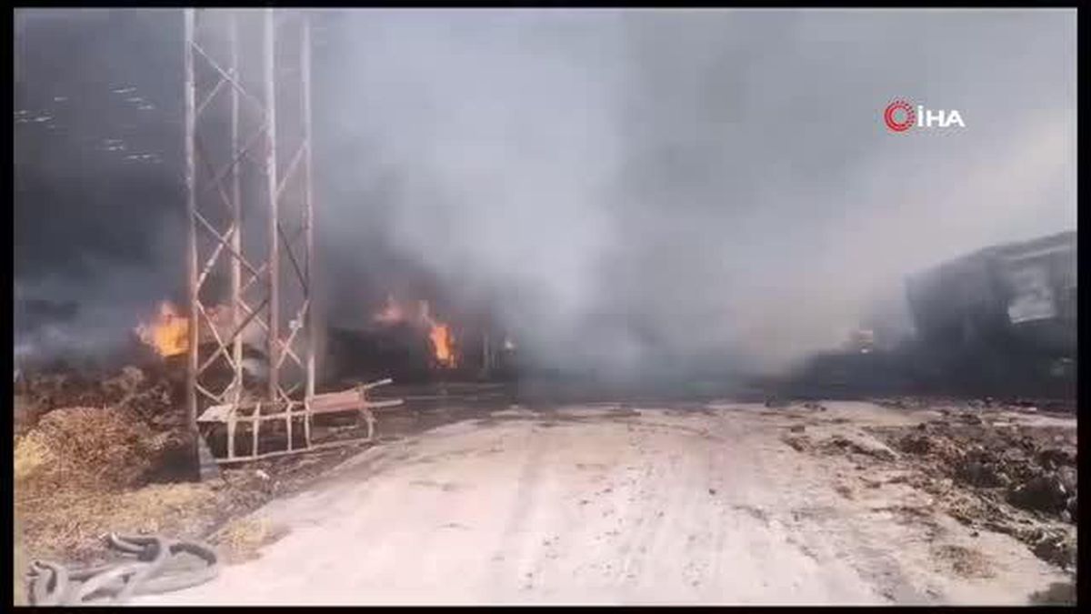 Gönen'de büyükbaş hayvan çiftliğinde çıkan yangını söndürme çalışmaları devam ediyor