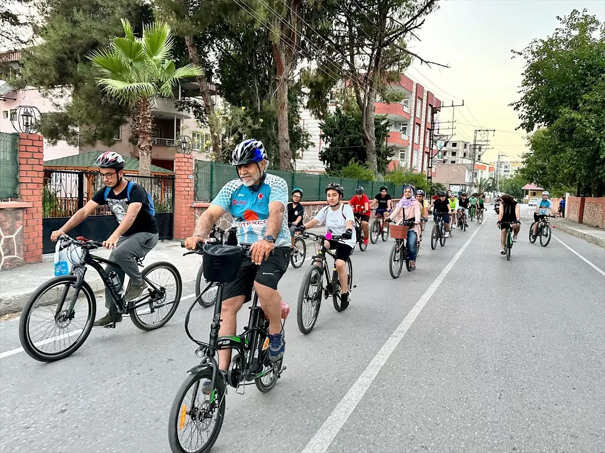 Gönüllü Gençler Sokak Hayvanlarını Besliyor