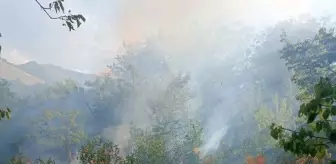 Kayseri'de Bahçede Çıkan Yangın Hasara Neden Oldu