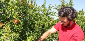 Antalya Büyükşehir Belediyesi Üreticilere Faydalı Böcek Desteği Sağlıyor