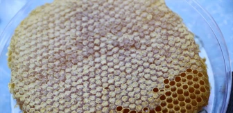 Arı Sayısı Artarken Üretim Düşüyor