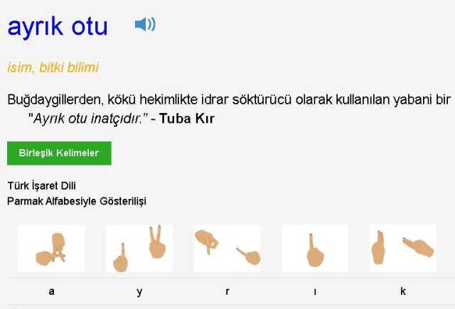 ('Ayrık otu ve eğrelti otu yenmez ama çörek otu, semizotu..) Kim Milyoner Olmak İster 1 Ağustos Sorusu Cevabı Nedir? 200 Bin TL'lik soru ve cevabı ne? ('Ayrık otu ve eğrelti otu yenmez ama çörek otu, semizotu..) Kim Milyoner Olmak İster 1 Ağustos Sorusu Cevabı Nedir? 200 Bin TL'lik soru ve cevabı ne?