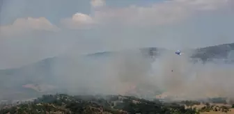 Çanakkale'de tarım arazisinde çıkan yangın ormana sıçramadan söndürüldü