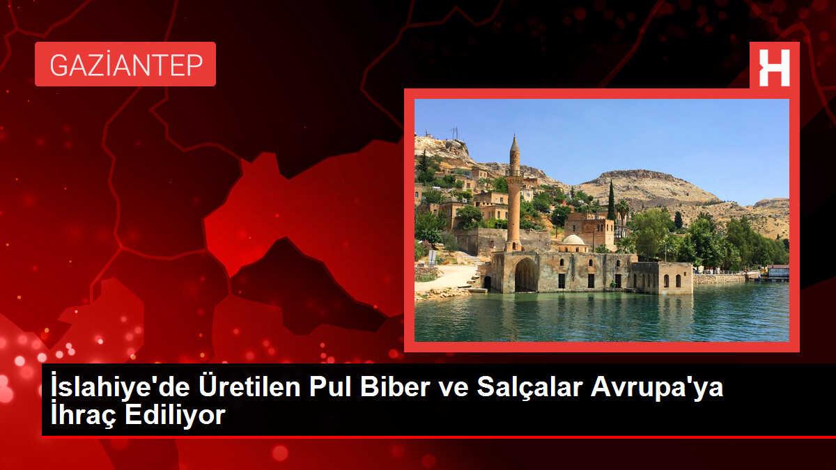 İslahiye'de Üretilen Pul Biber ve Salçalar Avrupa'ya İhraç Ediliyor
