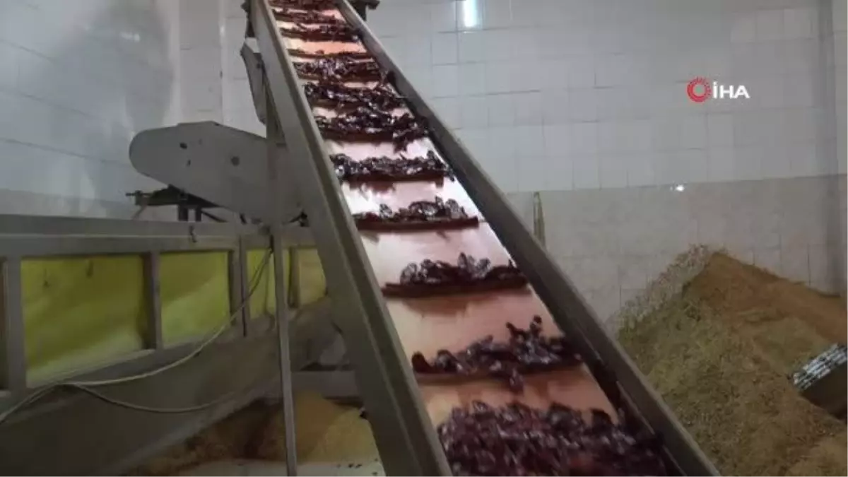 Depremin yıktığı İslahiye'de sanayinin çarkları tekrar dönmeye başladı
