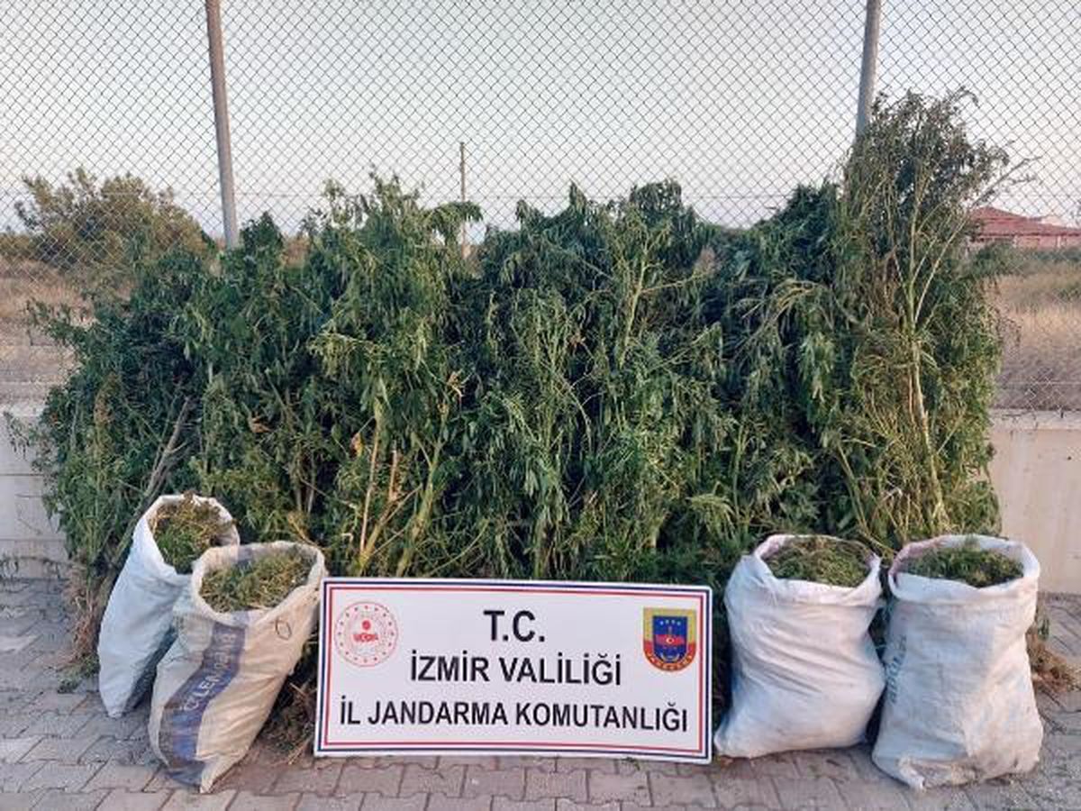 İzmir'de Uyuşturucu Operasyonunda 23 Kilo Esrar Ele Geçirildi