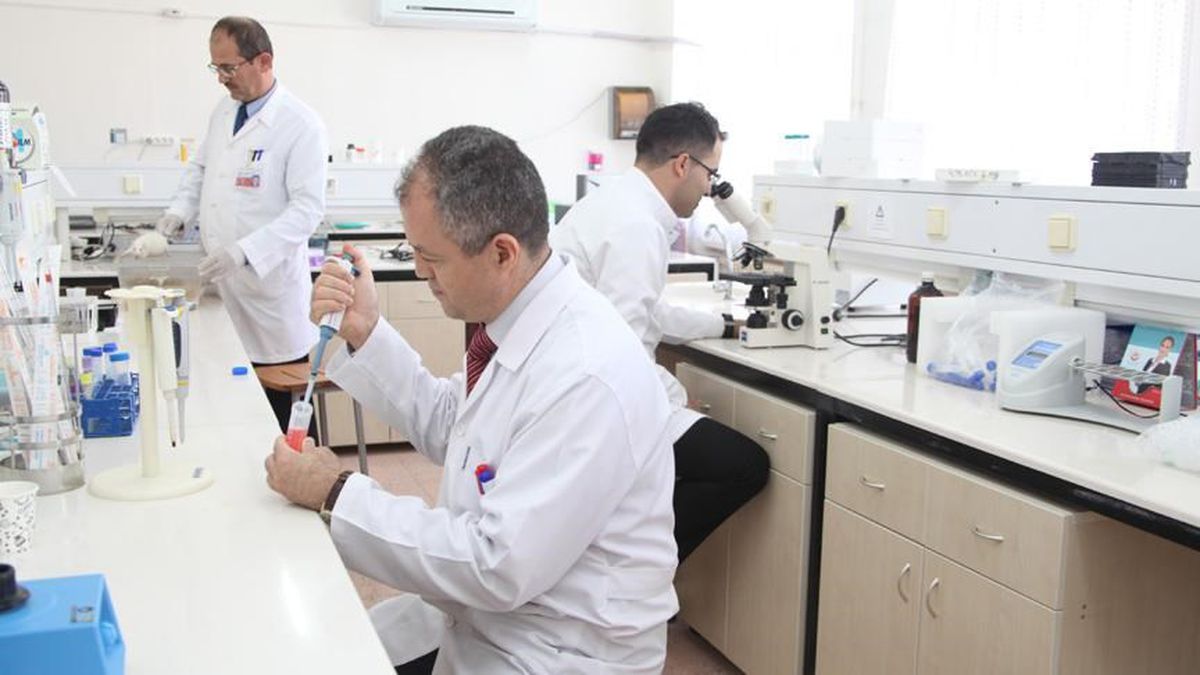 Progesteron nedir, kaç olmalı? Kadın üreme sisteminin kritik bileşeni: Progesteron hormonu yüksekliği ve düşüklüğü! Progesteron hormonu ve görevleri
