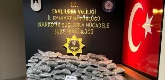 Şanlıurfa'da 177 Kilo Skunk Ele Geçirildi, 4 Kişi Gözaltına Alındı