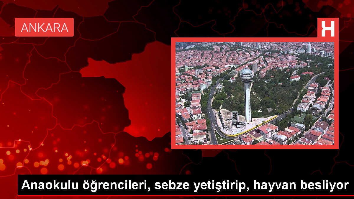 Okul Bahçelerinde Bostan ve Kümesler Oluşturuldu, Minikler Doğayla İç İçe