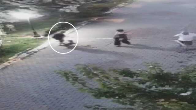 Ankara'da yaşlı kadına köpek saldırdı Sahipleri Yardım Etmedi