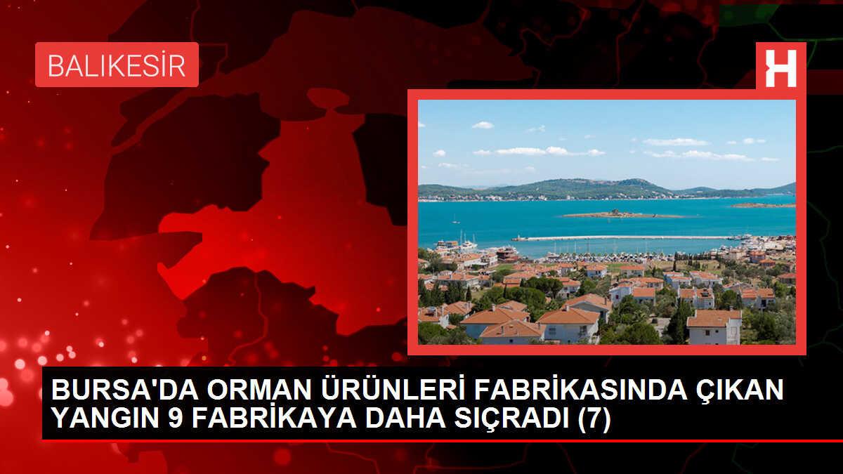 İnegöl'deki Yangın 7 Saatte Kontrol Altına Alındı