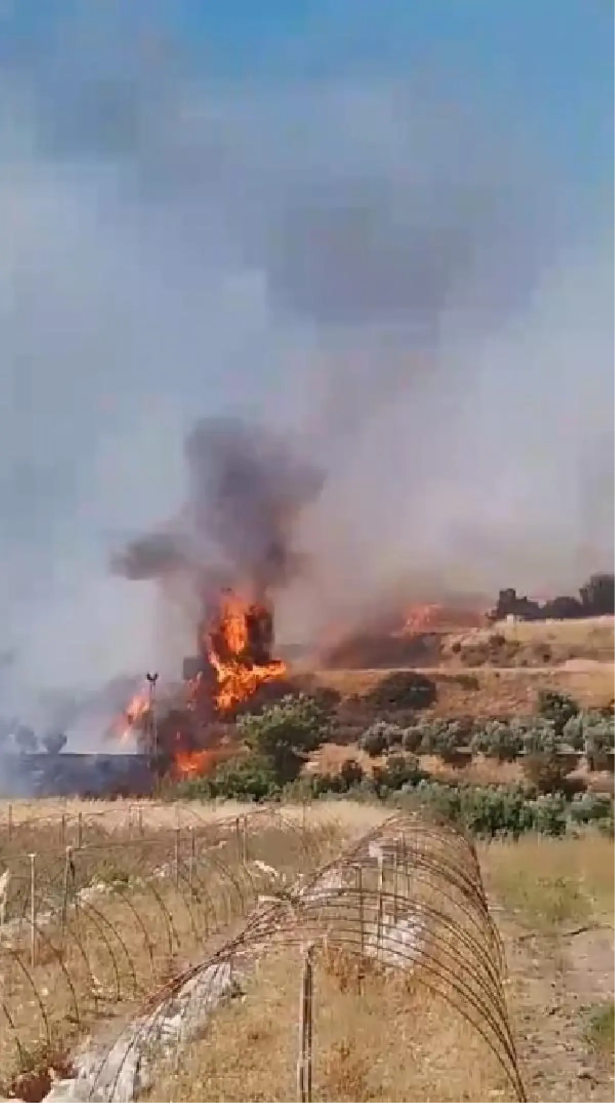 Antakya'da Zeytinlikte Çıkan Yangın Ormana Sıçradı