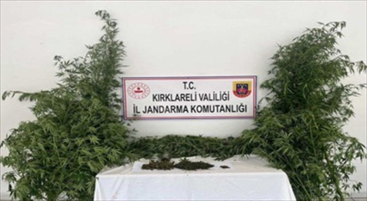Kırklareli'nde Kaçakçılık Operasyonlarında Uyuşturucu, İçki ve Kaçak Kazı Malzemeleri Ele Geçirildi
