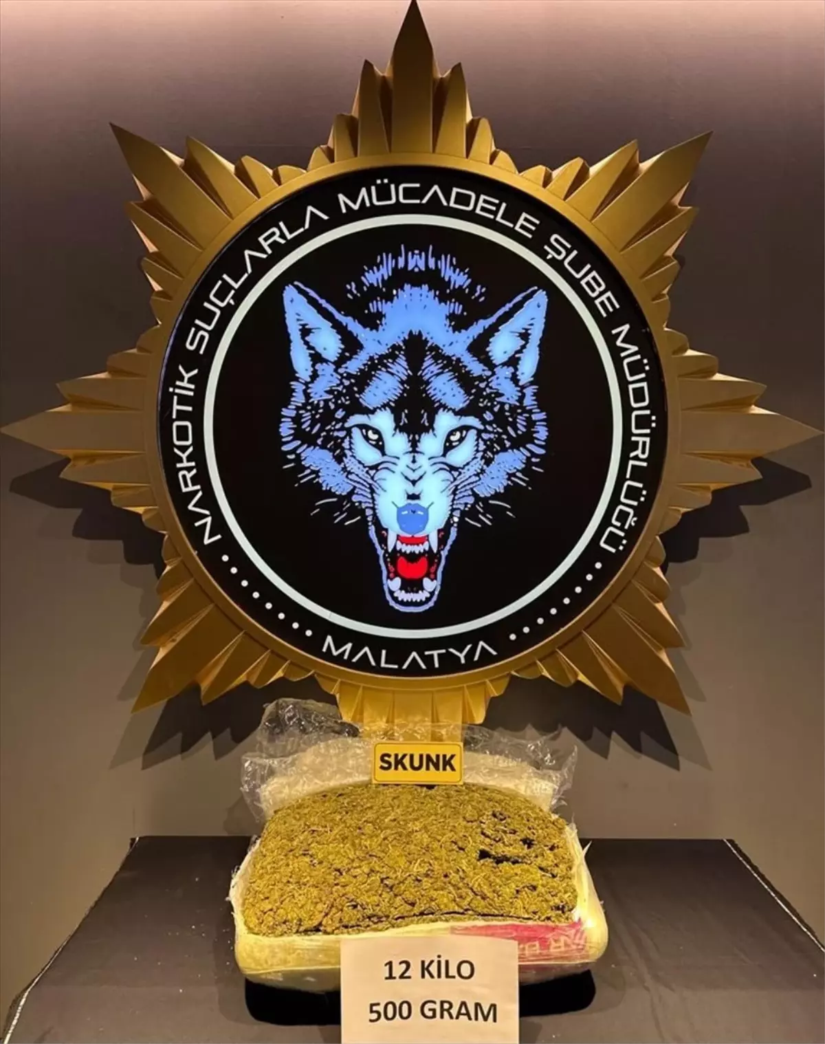 Malatya'da Otobüste Skunk Ele Geçirildi, Şüpheli Tutuklandı