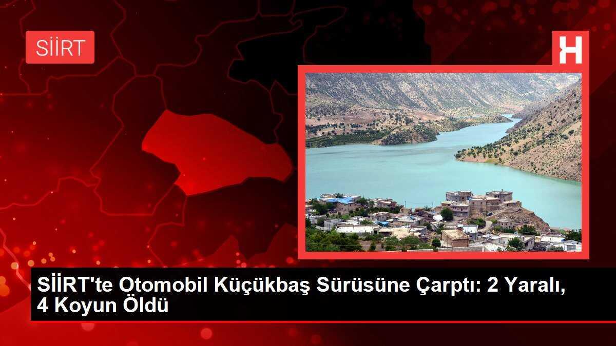 SİİRT'te Otomobil Küçükbaş Sürüsüne Çarptı: 2 Yaralı, 4 Koyun Öldü