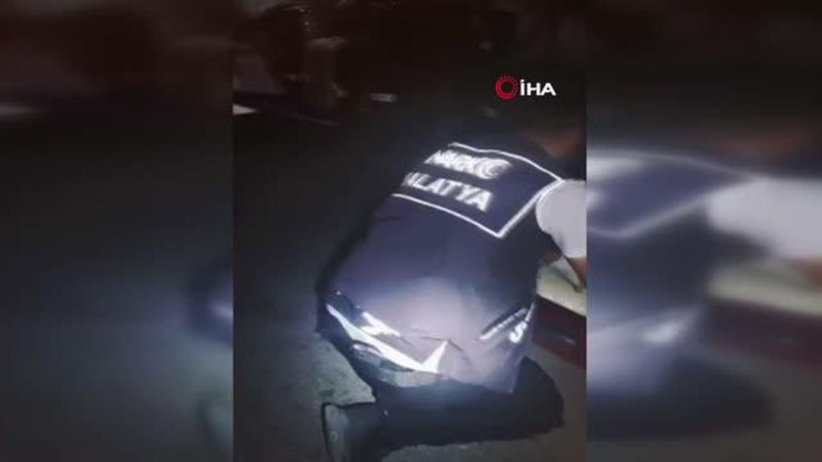Yolcu otobüsünde 12,5 kilo skunk ele geçirildi