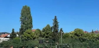 Alaçam'da yaz Kur'an kursları arası futbol turnuvası başladı
