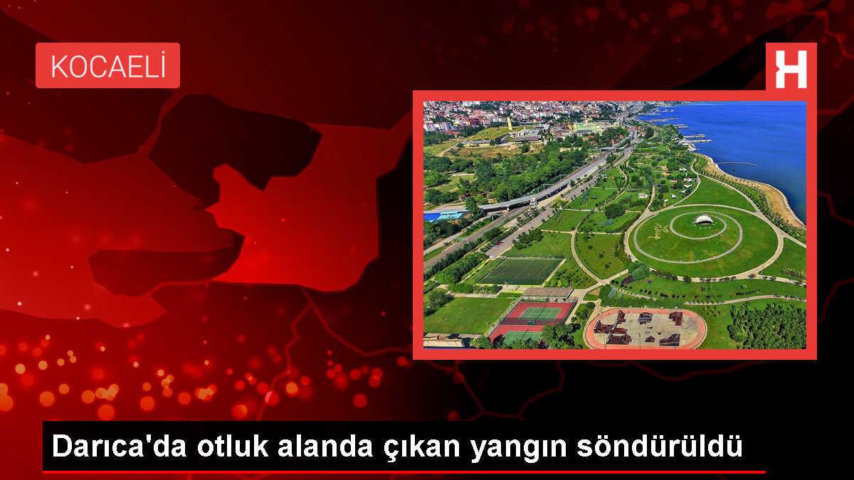 Darıca'da çıkan yangın söndürüldü