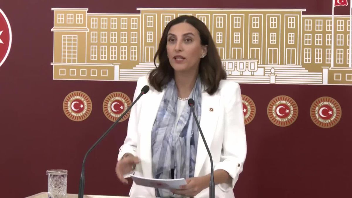 Evrim Rızvanoğlu: 'Akbelen'i Savunmayı Bir Vatanperverlik Meselesi Olarak Görüyoruz'