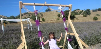 Amasya'da Lavanta Hasat Şenliği Düzenlendi