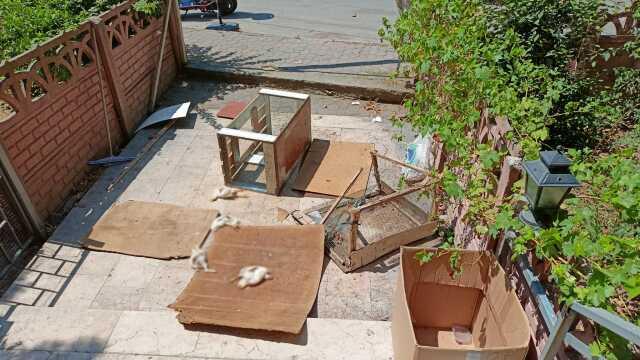 Kocaeli'de pet shop katliamı! Tavşanın kesik başını dükkanının önüne attılar Kocaeli'de pet shop katliamı! Tavşanın kesik başını dükkanının önüne attılar