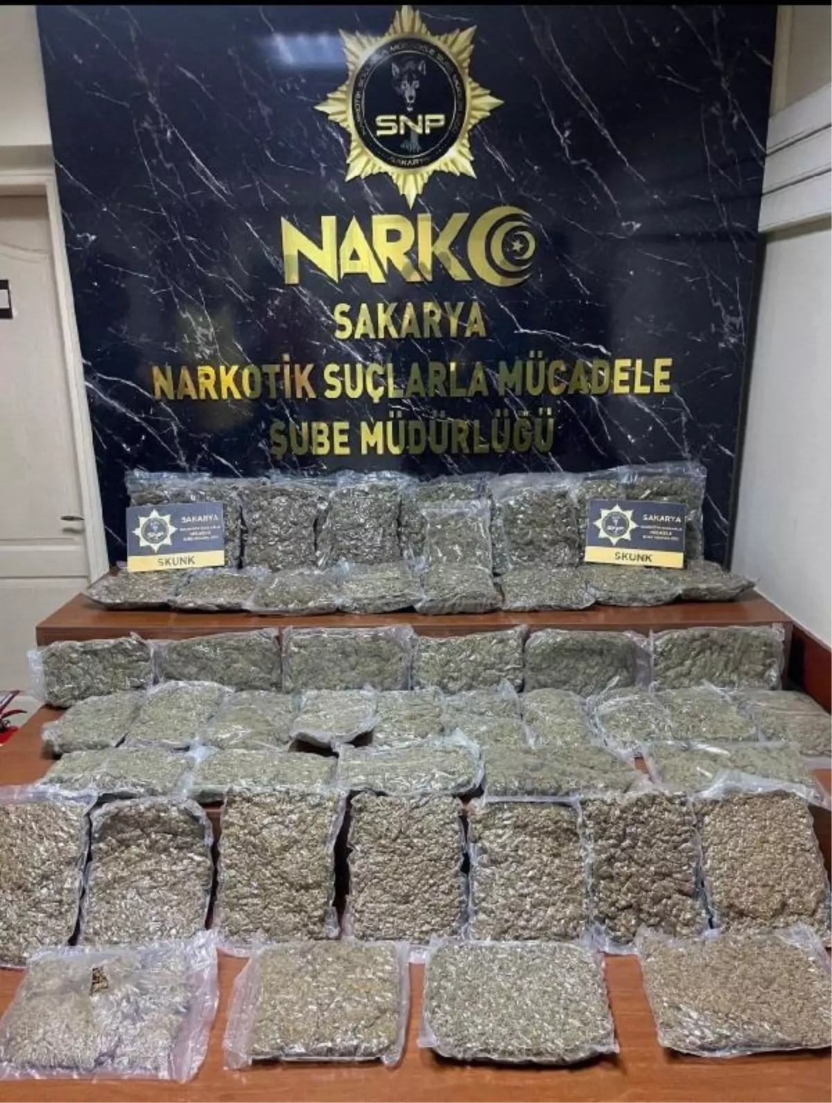 Sakarya'da Uyuşturucu Operasyonunda 24,5 Kilogram Skunk Ele Geçirildi