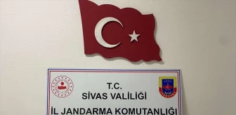 Sivas'ta Yasa Dışı Kenevir Yetiştiricisi Yakalandı