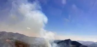Adana Feke'de Orman Yangını Çıktı