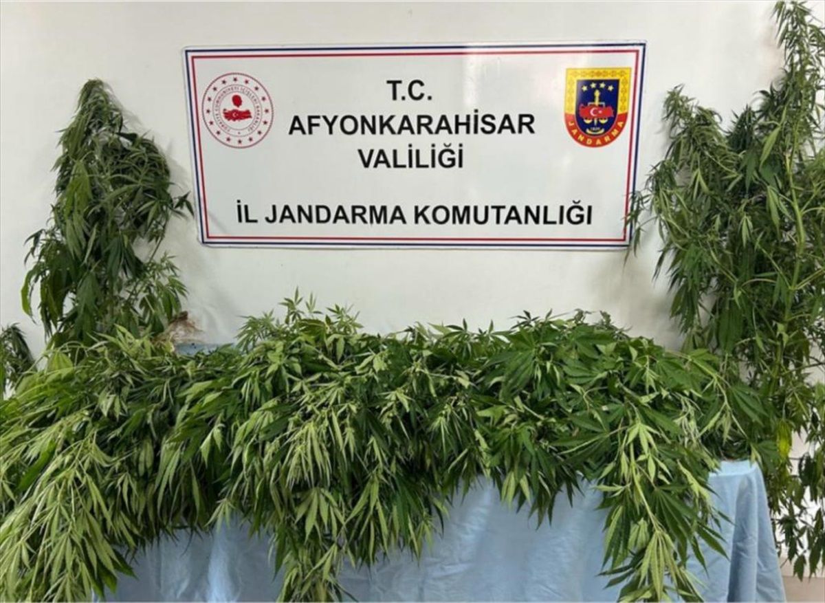 Afyonkarahisar'da uyuşturucu operasyonunda yakalanan şüpheliye adli işlem uygulandı