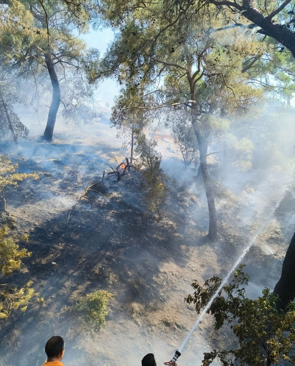 Balıkesir'de Orman Yangınına Havadan ve Karadan Müdahale