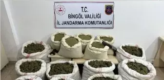 Bingöl'de 11 Milyon Kök Hint Keneviri Ele Geçirildi