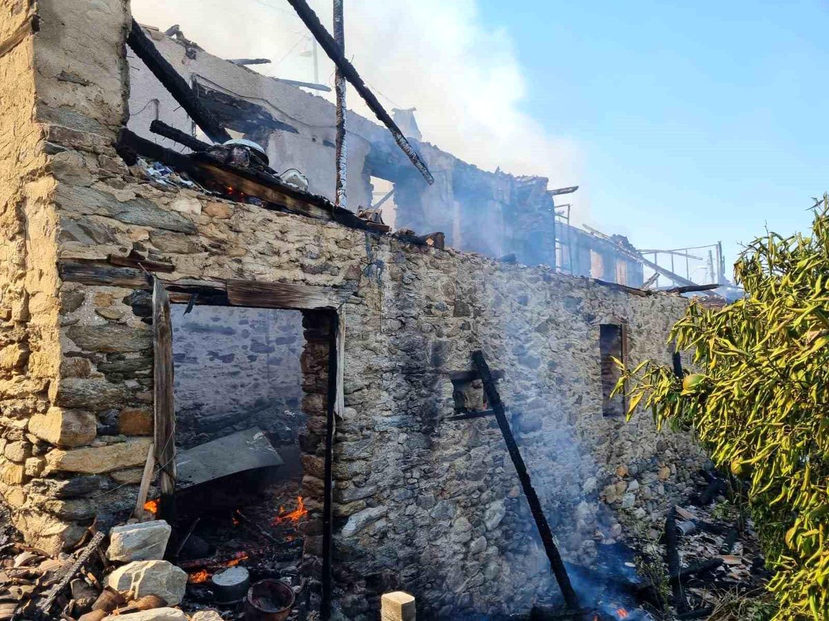 Aydın'ın Bozdoğan ilçesinde çıkan yangında iki ev tamamen yandı