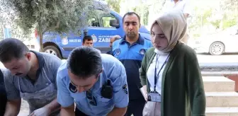 Haliliye Belediyesi Zabıta Müdürlüğü Fırın Denetimleri Yapıyor