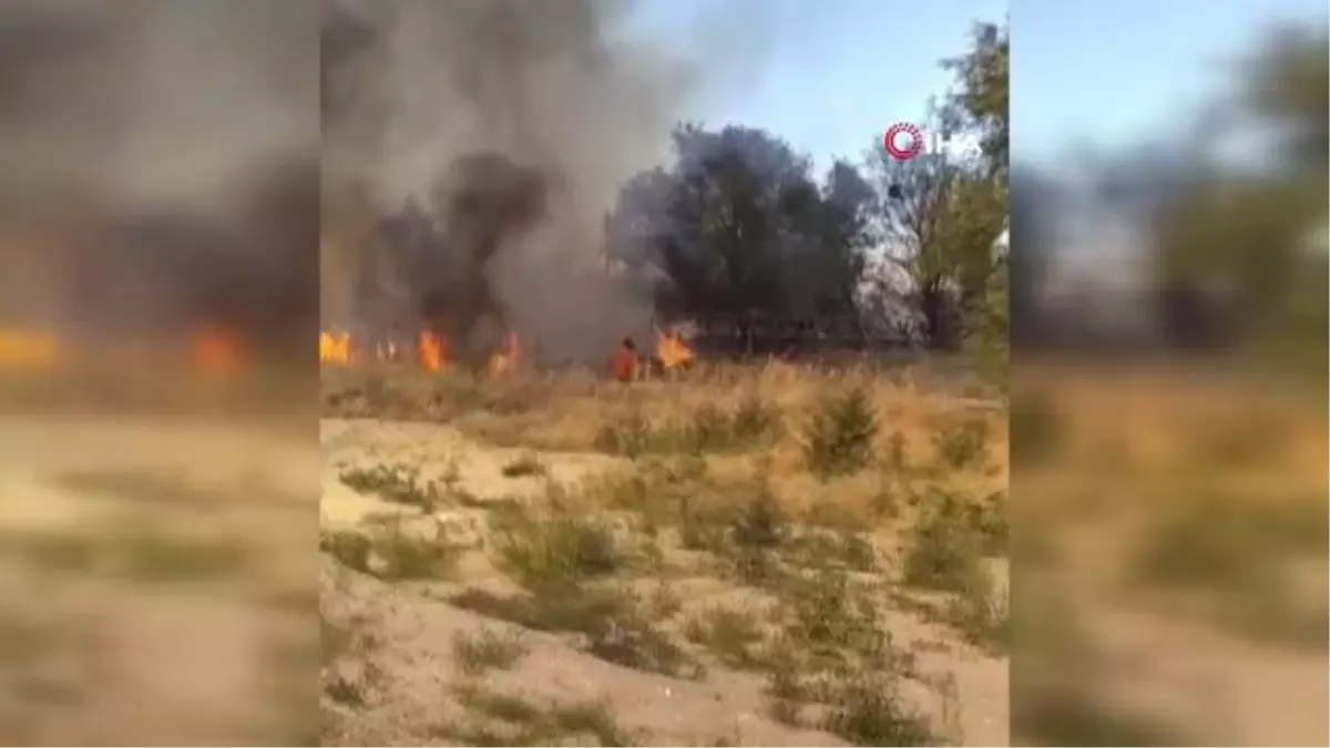 Isparta'da 10 dönümlük sazlık arazi küle döndü