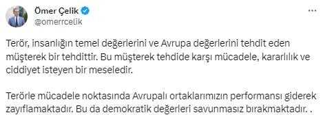 PKK yandaşlarının AİHM'deki skandal eylemine AK Parti Sözcüsü Çelik'ten sert tepki