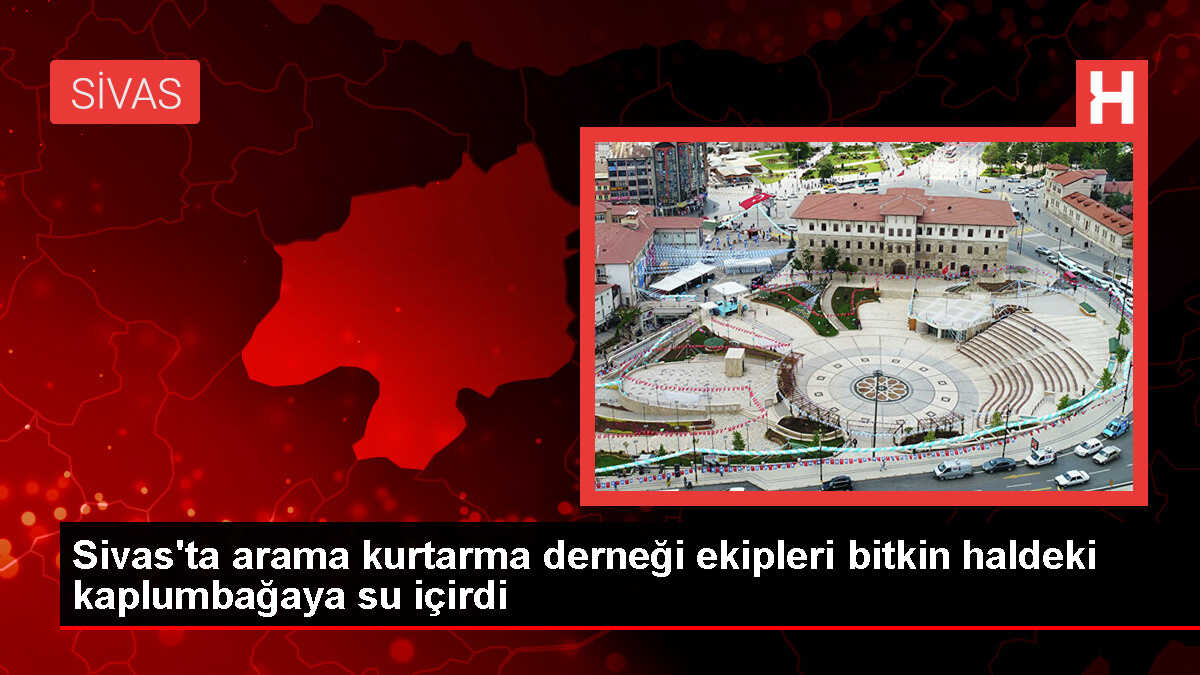 SUKUT Ekipleri Sıcaktan Bitkin Düşen Kaplumbağaya Yardım Etti