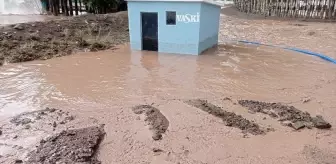 Van'ın Özalp ilçesinde sağanak ve dolu etkili oldu