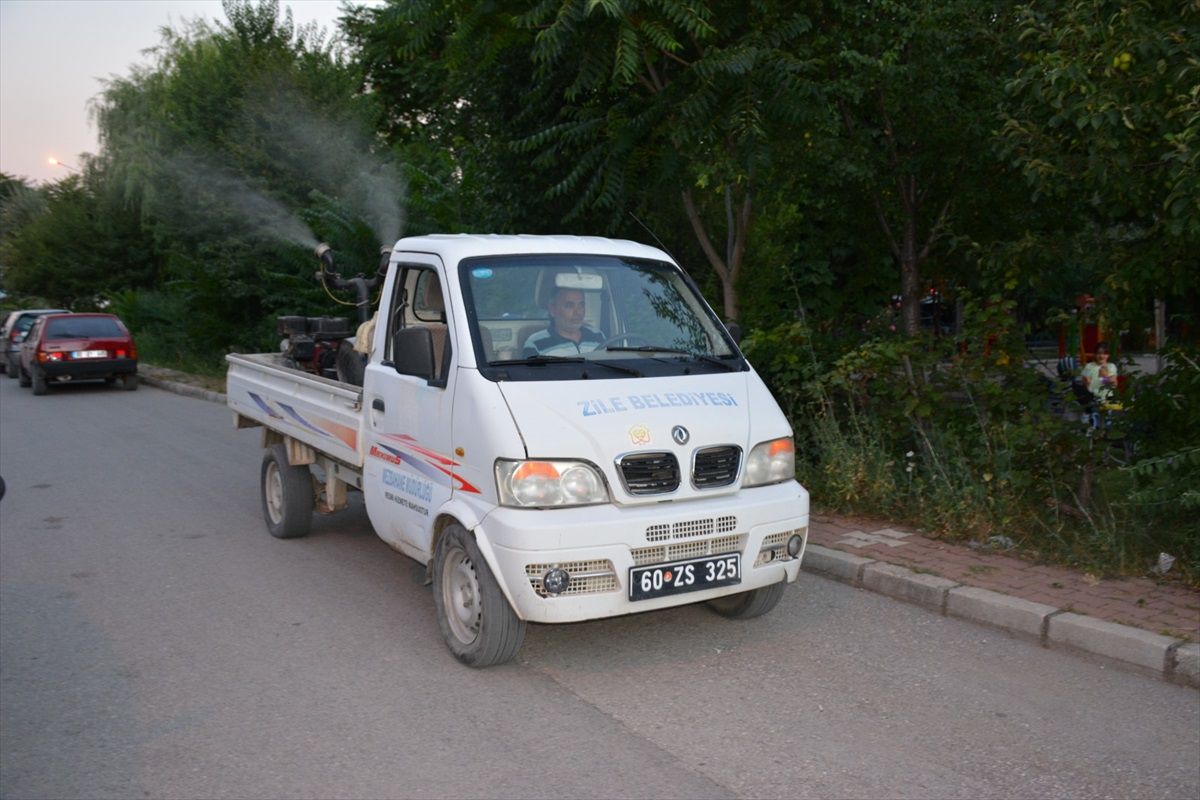 Tokat'ta Halk Sağlığı İçin Haşere İlaçlama Çalışması Başlatıldı