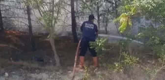 Amasya'da Orman Yangını: 10 Dönüm Orman ve 5 Dönüm Tarım Arazisi Zarar Gördü