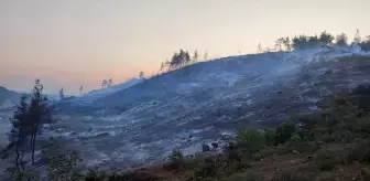 Bilecik'te Ormanlık Alanda Yangın Çıktı