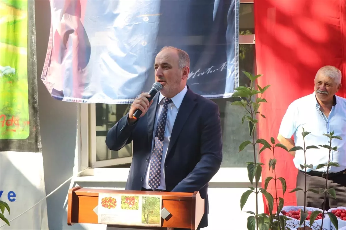 Yalova'da Şenköy Kızılcık Şenliği Coşkuyla Gerçekleştirildi