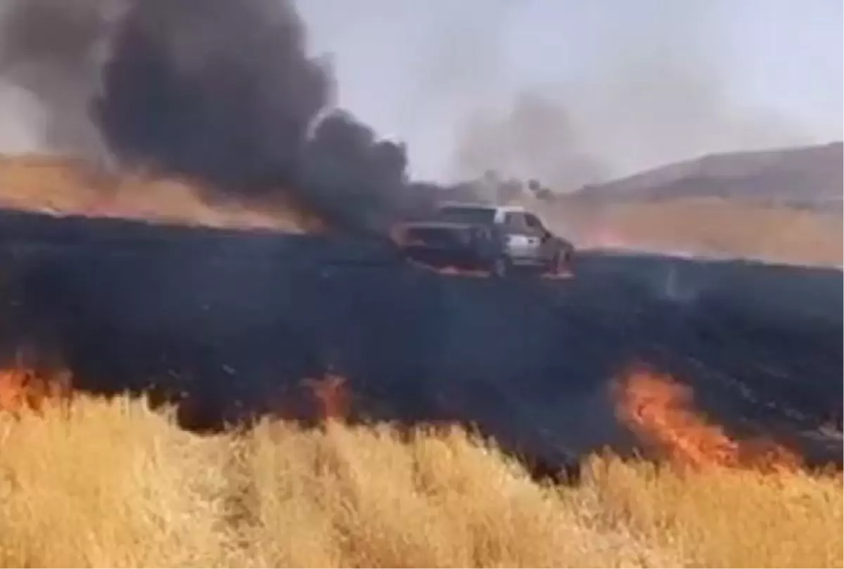 Siirt'te Tarlada Park Halindeki Otomobil Alev Aldı