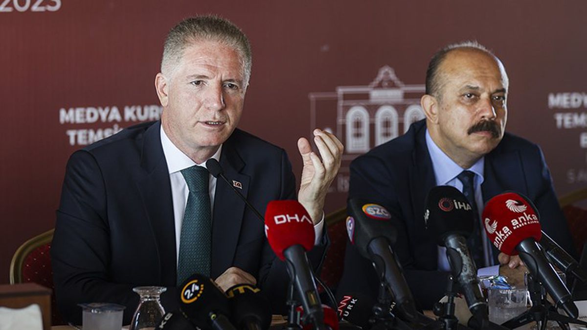 Vali Gül'e, 'sokak hayvanları' konusu soruldu: 'Hoş görelim' diye bir lüksümüz yok