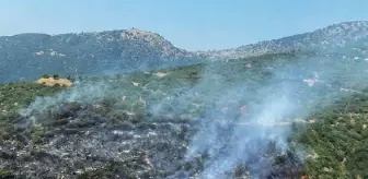 Ödemiş'te Otomobil Yangını Ormana Sıçradı