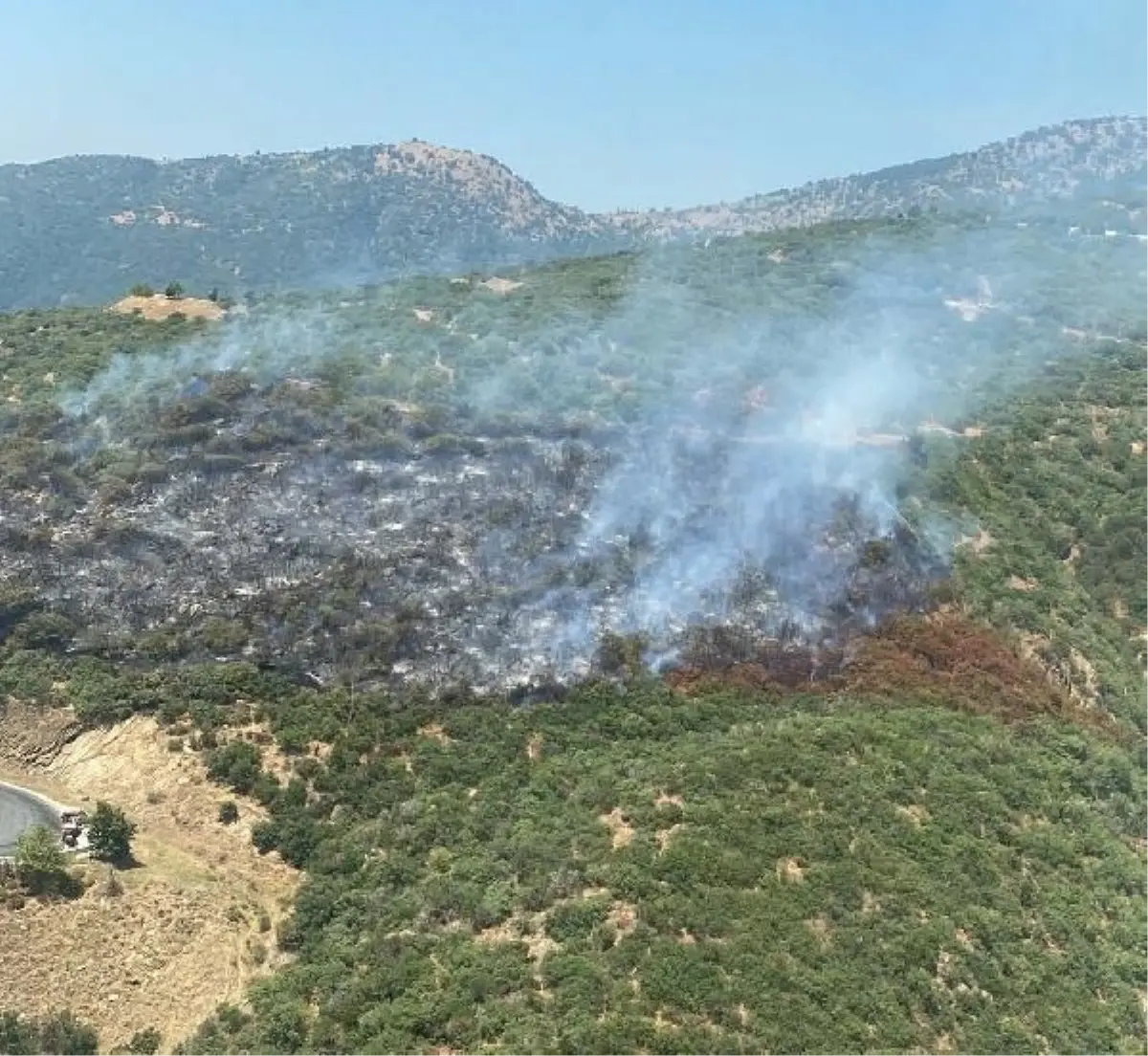 Ödemiş'te Otomobil Yangını Ormana Sıçradı