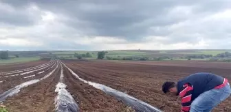 Karpuz Üreticileri Kuraklıkla Mücadele Ediyor