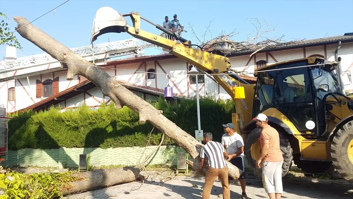Sapanca'da asırlık çınar ağacı evin çatısına devrildi