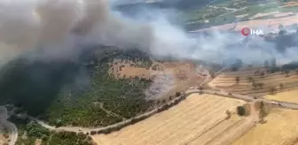 Balıkesir'de orman yangını